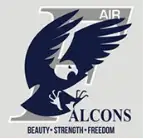 Air Falcons