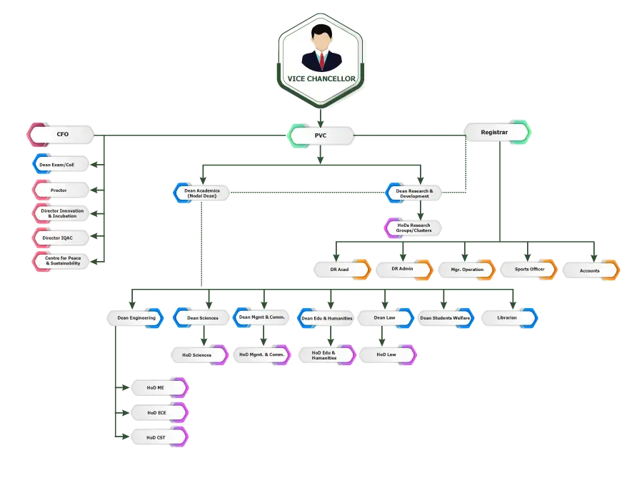 Organisation Structure