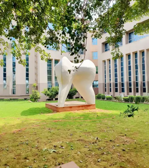 Manav Rachna Dental College (Under Faculty Of Dental Sciences)