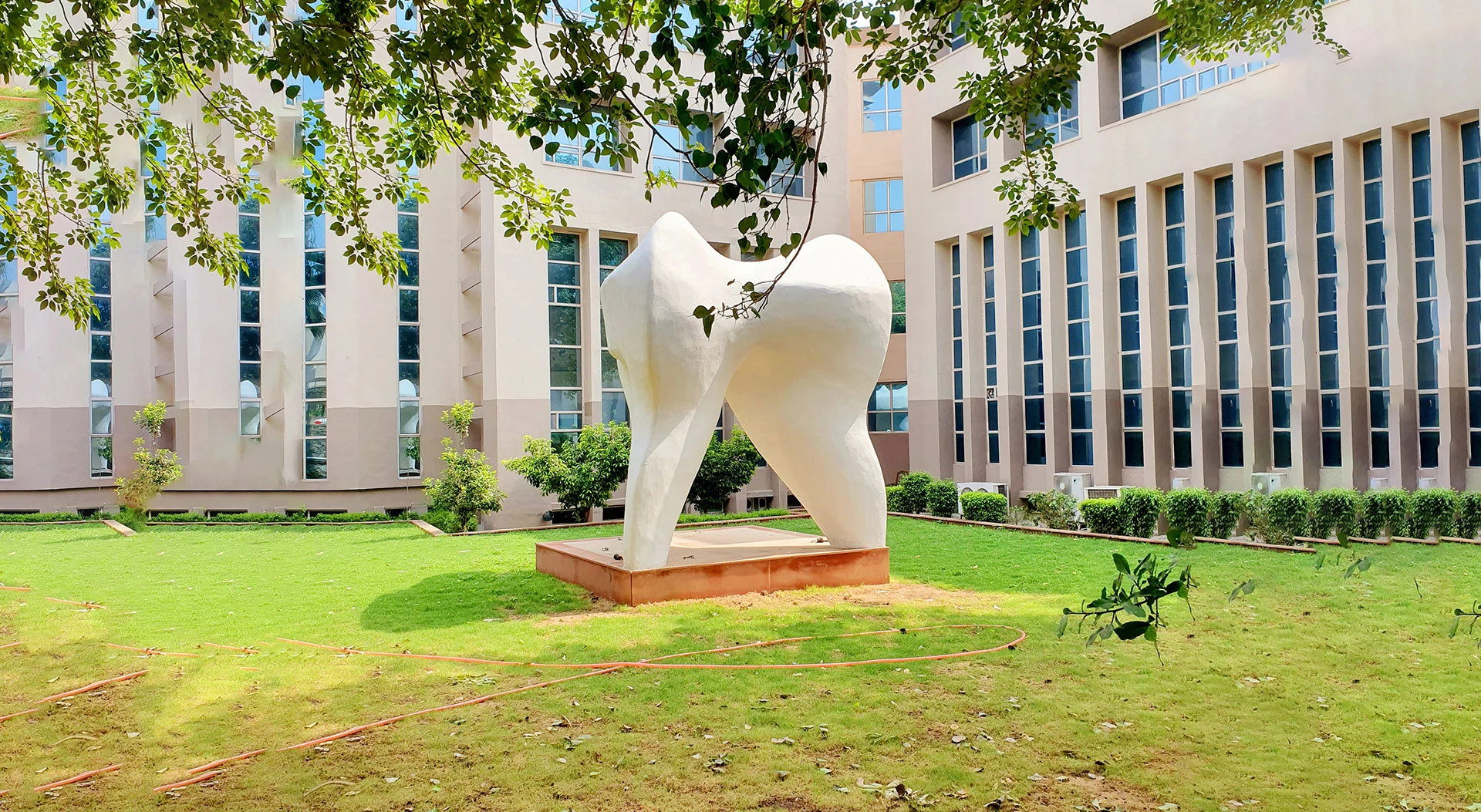 No. 1 Dental College in Haryana