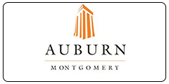 Logo 29