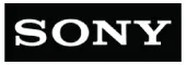 compamy logo